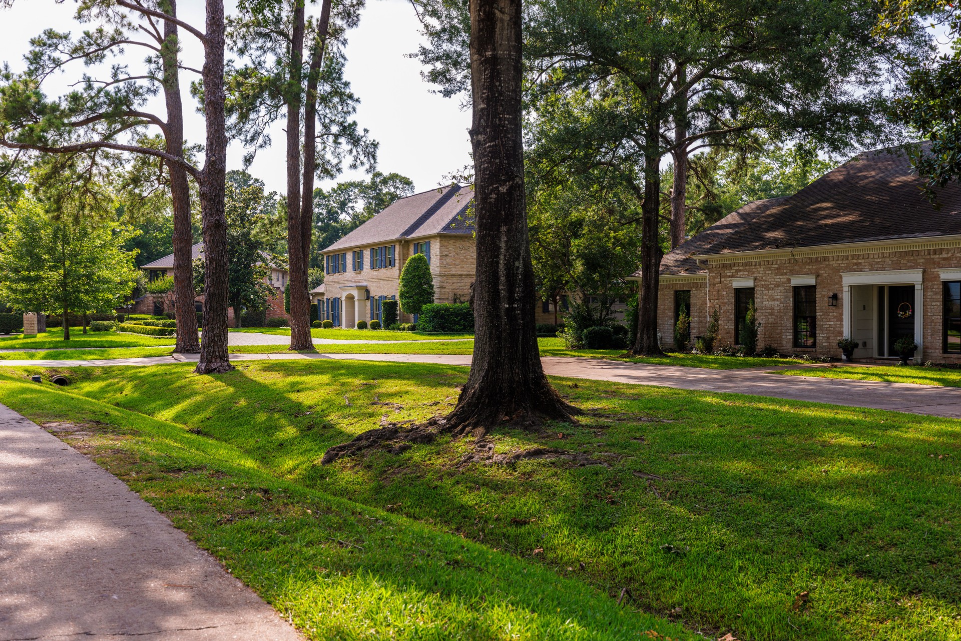 Colonial styles on tree-lined streets in affluent East Houston enclave in Texas